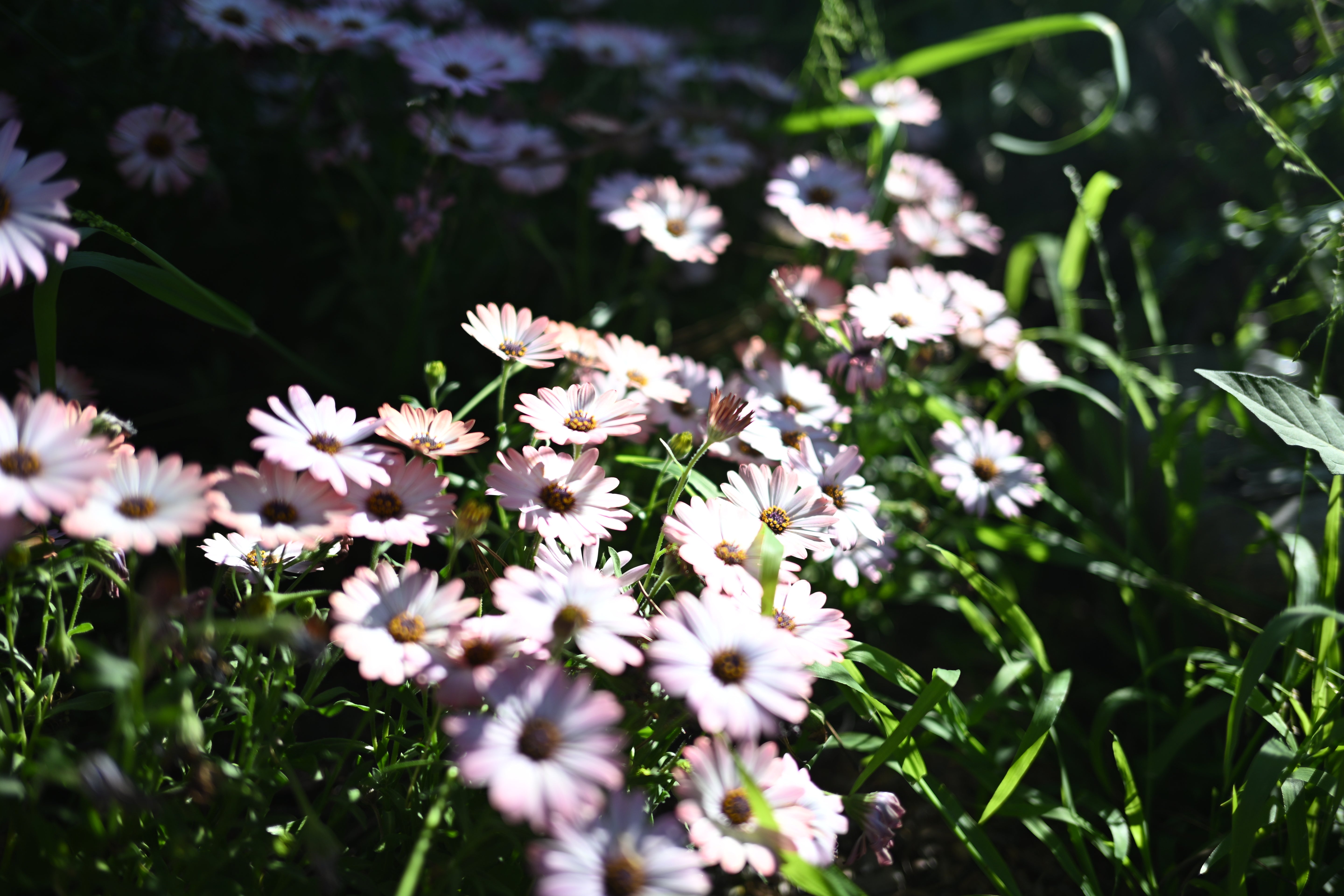 Ideal Bathroom Centre