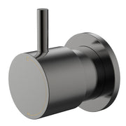 Millennium Cioso Progressive Wall Mixer Pin Up, Gun Metal