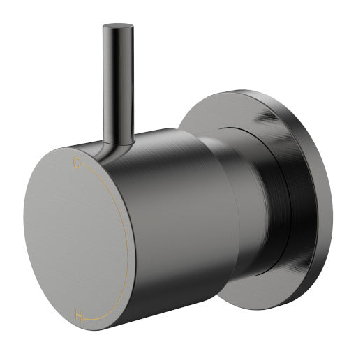 Millennium Cioso Progressive Wall Mixer Pin Up, Gun Metal