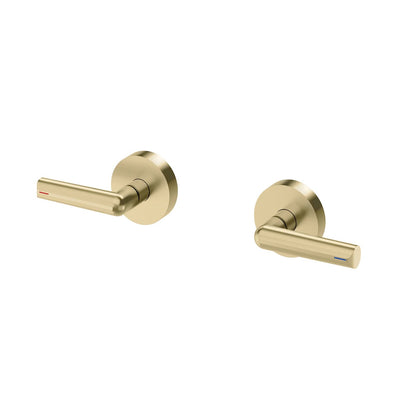 Phoenix Vivid Slimline Plus Lever Wall Top Assemblies - Lead Free, Brushed Gold