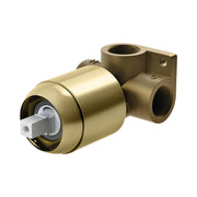 Phoenix Builders Shower / Wall Mixer Body Only, Brushed Gold