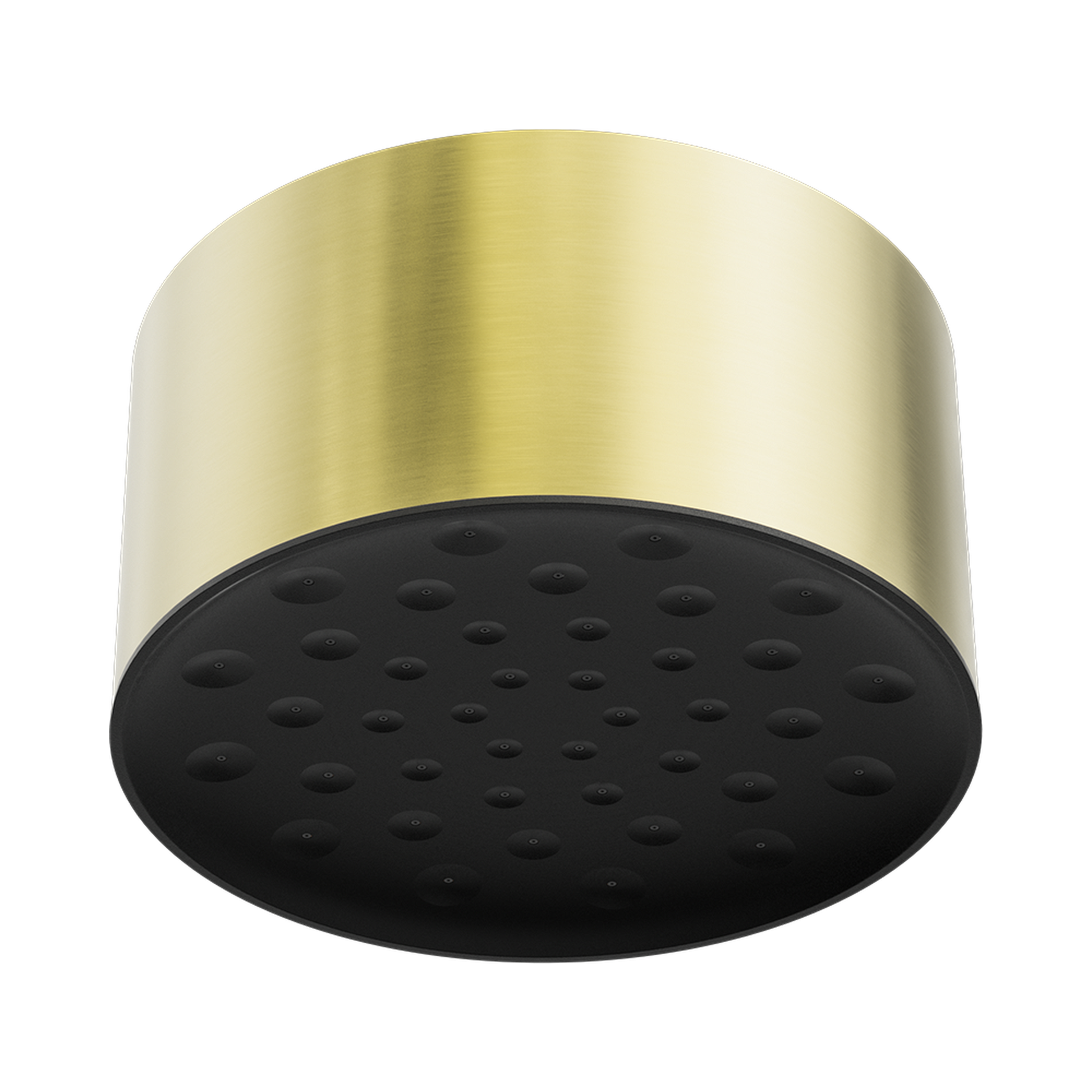 Nero Serenity Ceiling Shower Head, Brushed Gold