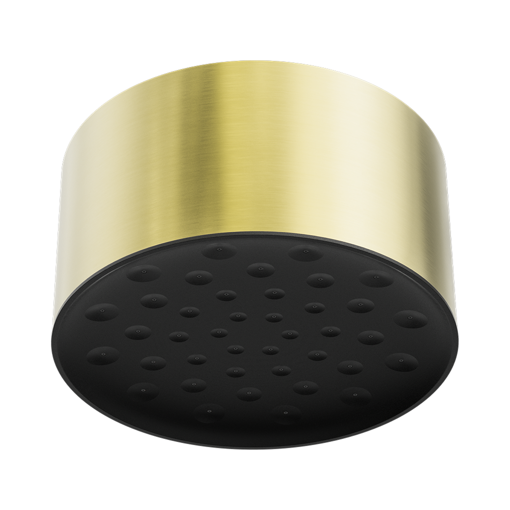 Nero Serenity Ceiling Shower Head, Brushed Gold