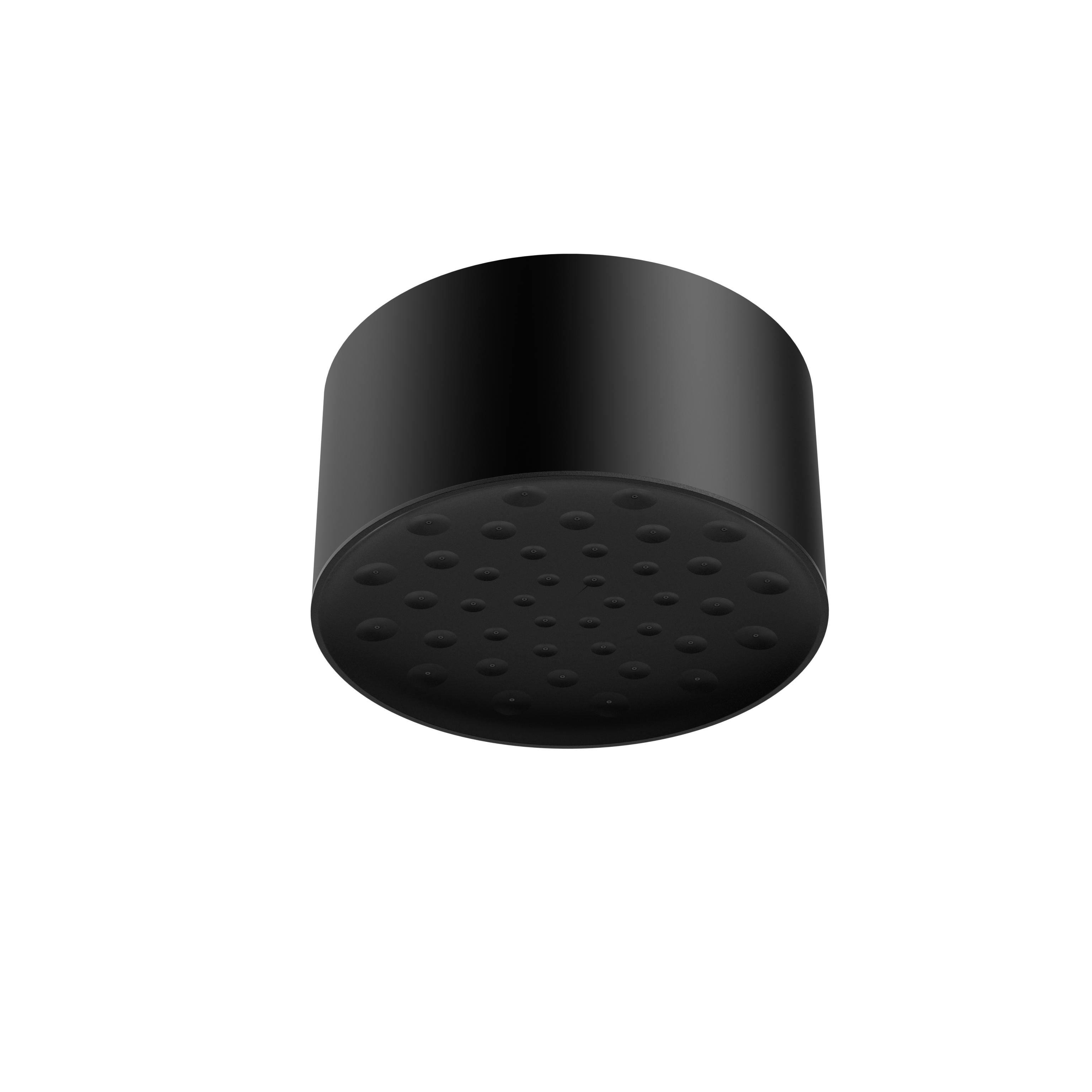 Nero Serenity Ceiling Shower Head