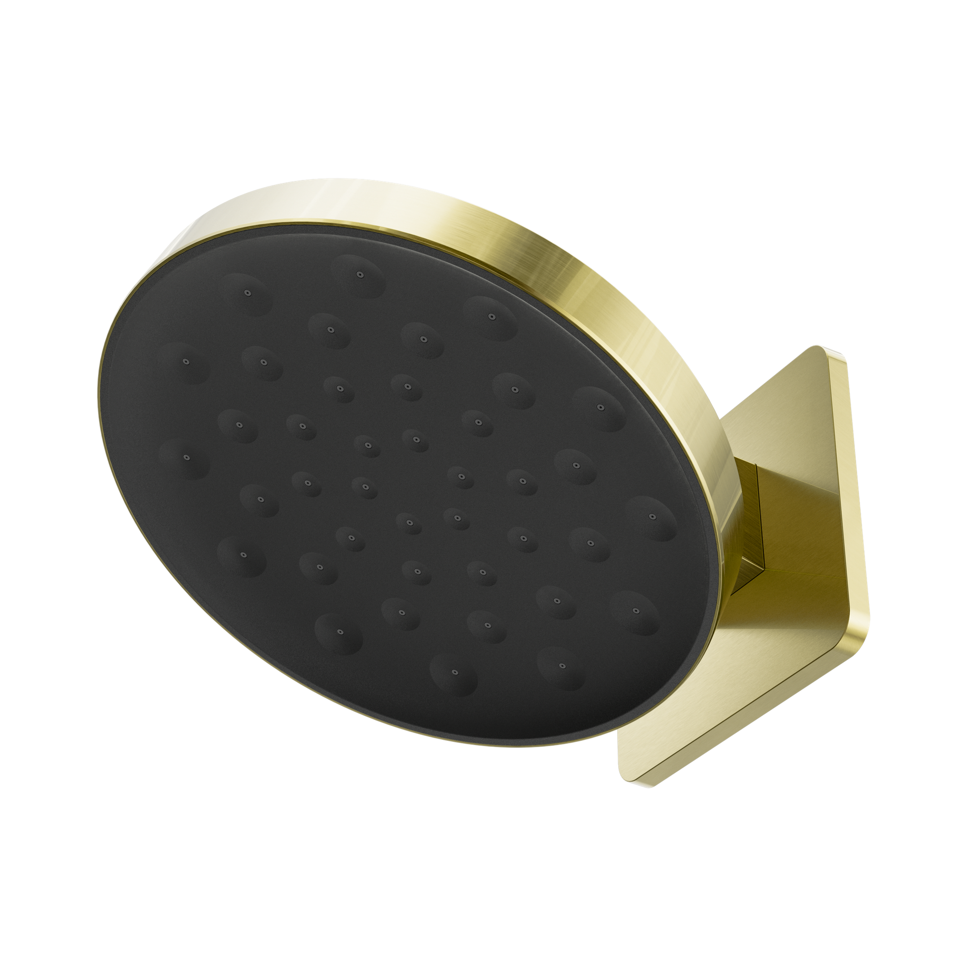 Nero Serenity Wall Shower Head, Brushed Gold