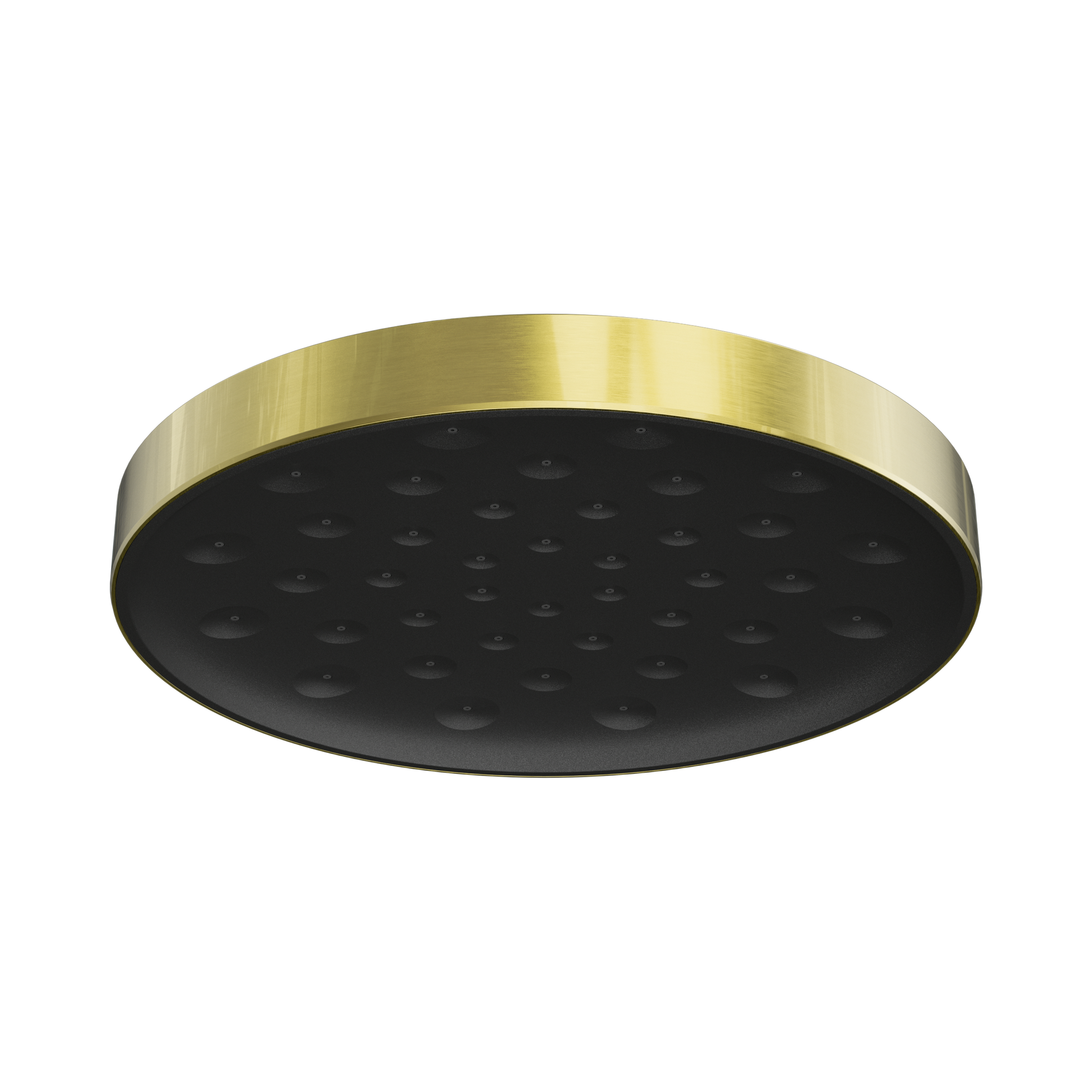 Nero Serenity Wall Shower Head, Brushed Gold