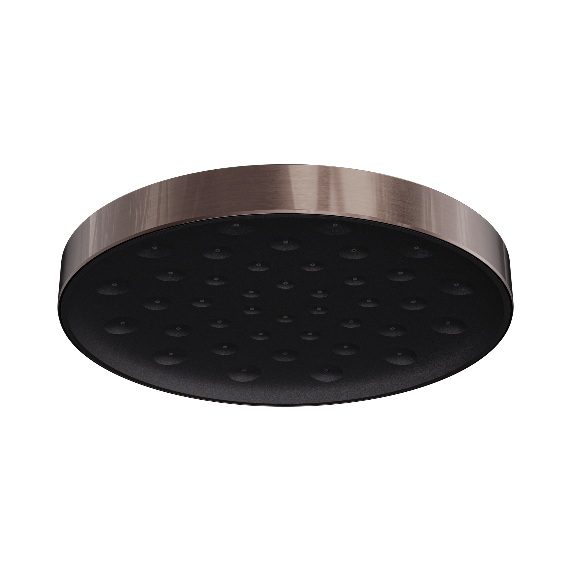 Nero Serenity Wall Shower Head, Brushed Bronze
