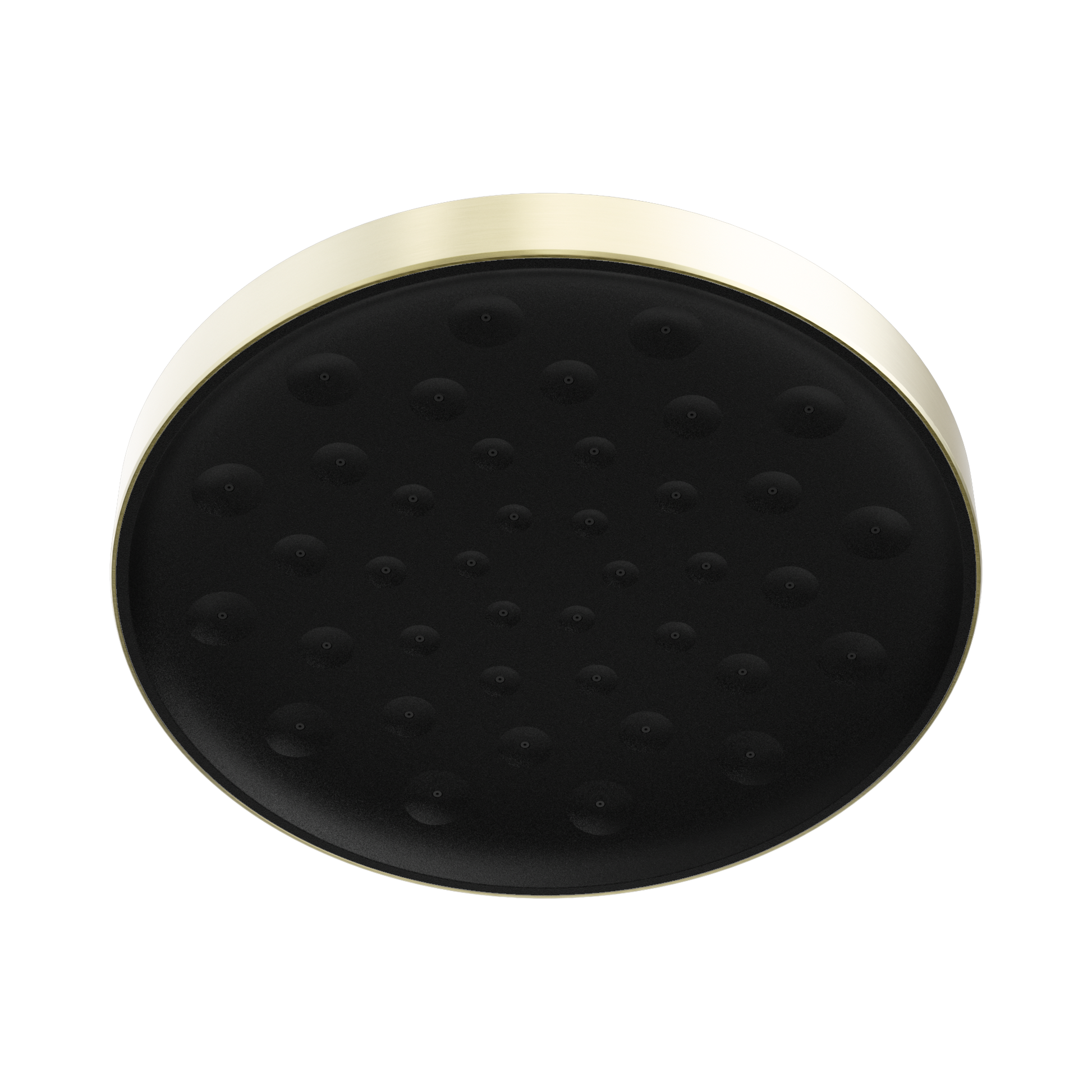 Nero Serenity Shower Head, Brushed Gold