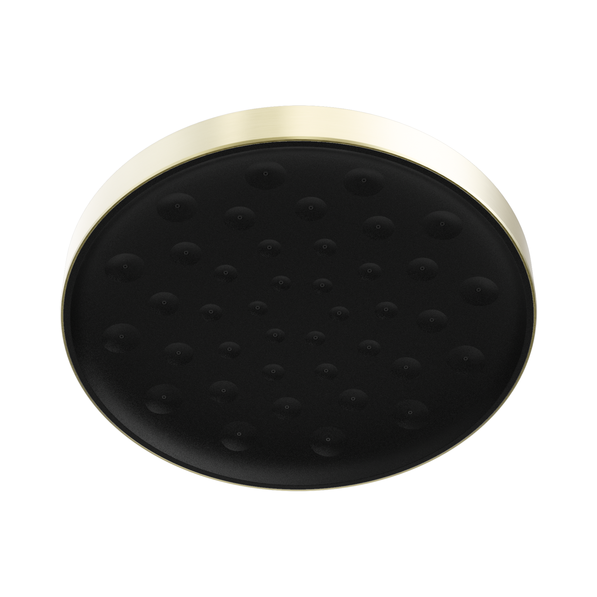 Nero Serenity Shower Head, Brushed Gold