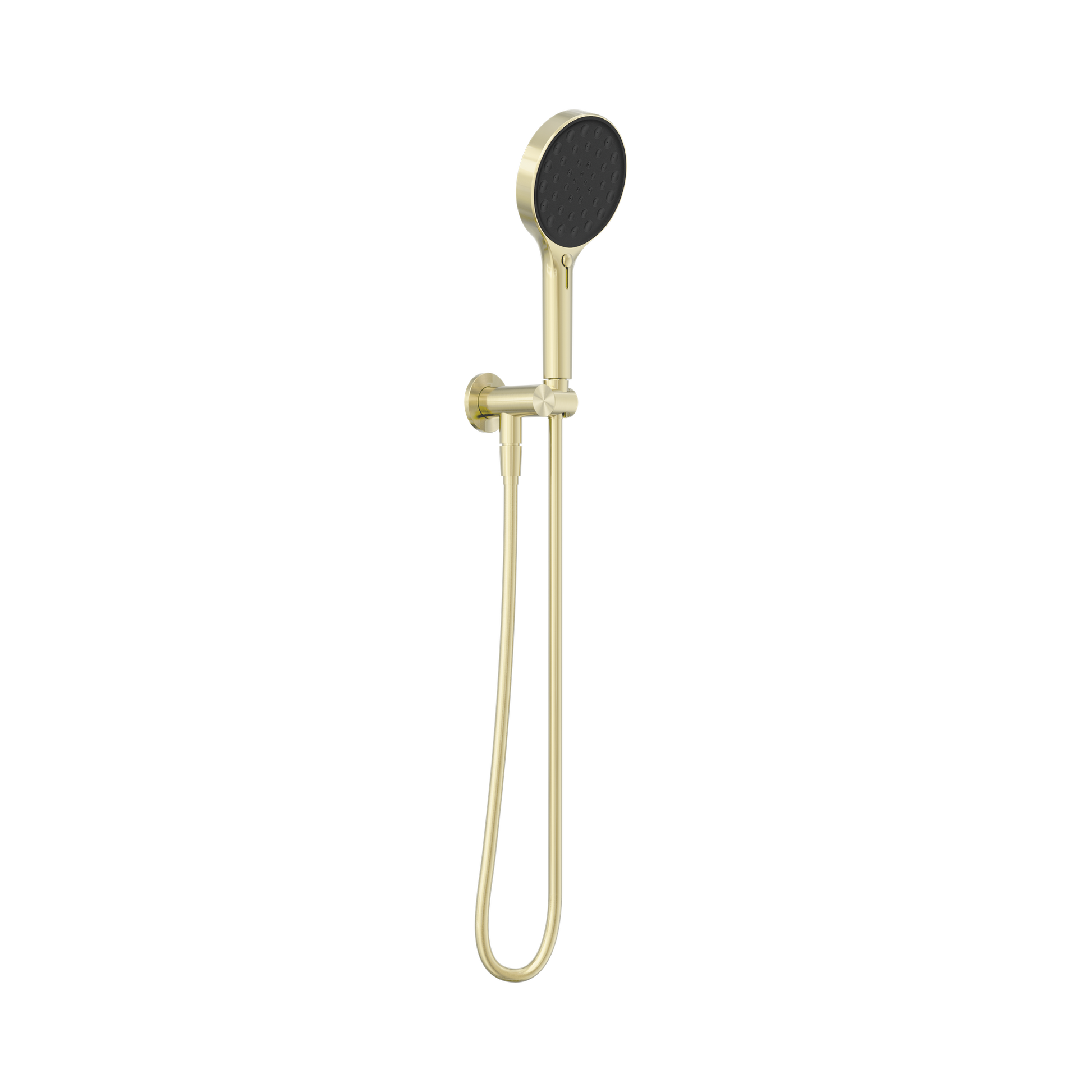 Nero Serenity Hand Held Shower, Brushed Gold