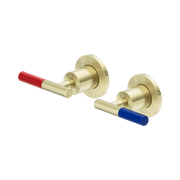 Nero Mecca Care Lever Wall Top Assemblies - Shallow Fit, Brushed Gold