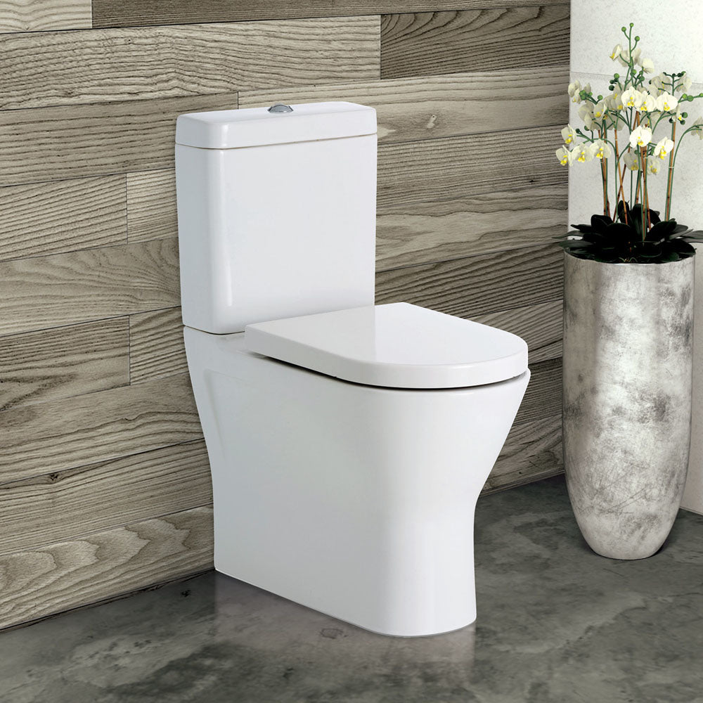 Fienza Resort P-Trap Back-to-Wall Bottom Inlet Rimless, Gloss White