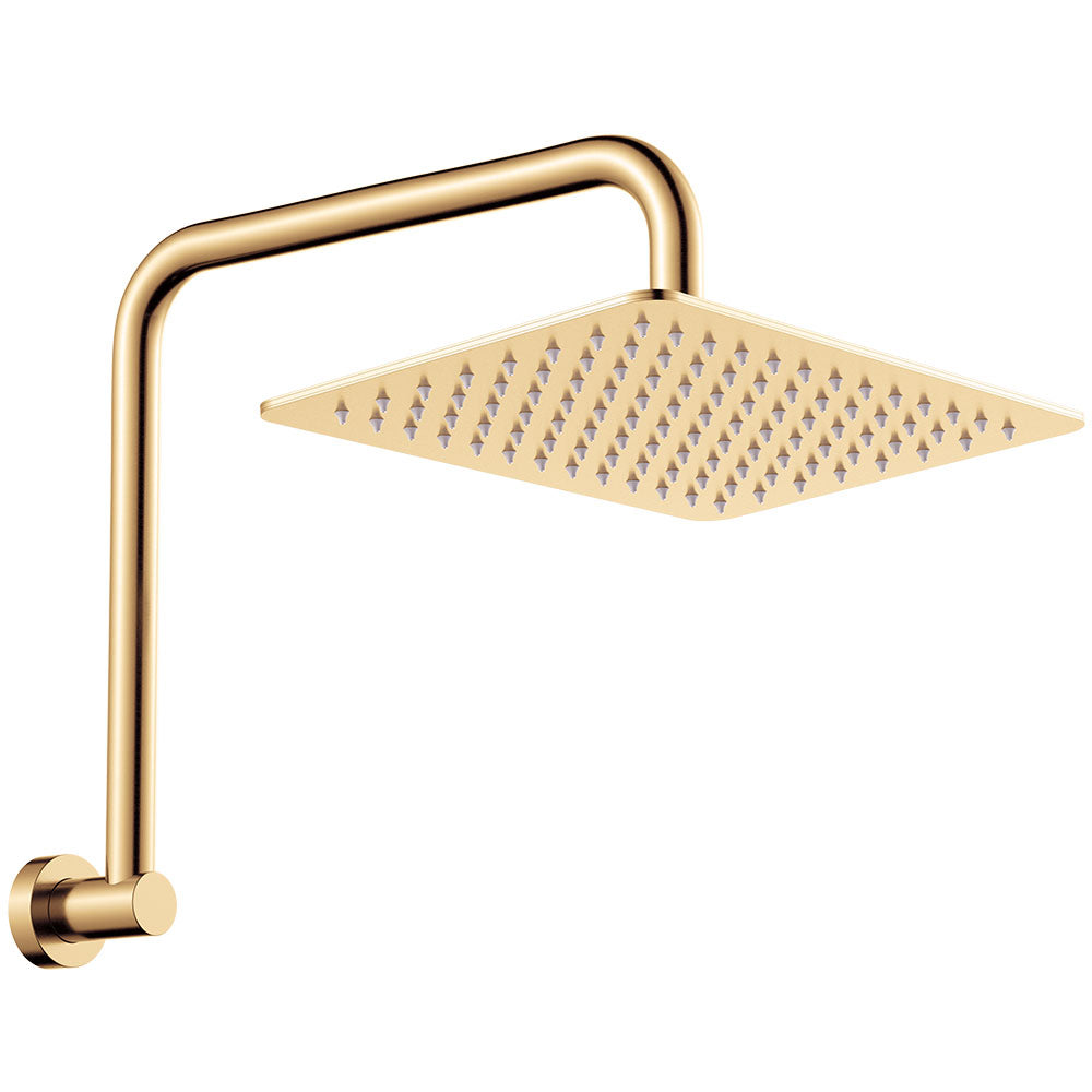 Fienza Tono Gooseneck Shower Arm Set, Urban Brass