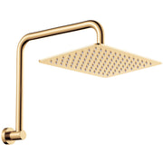 Fienza Tono Gooseneck Shower Arm Set, Urban Brass