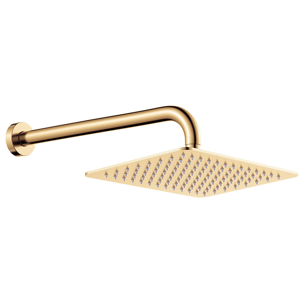 Fienza Tono Shower Arm Set, Urban Brass