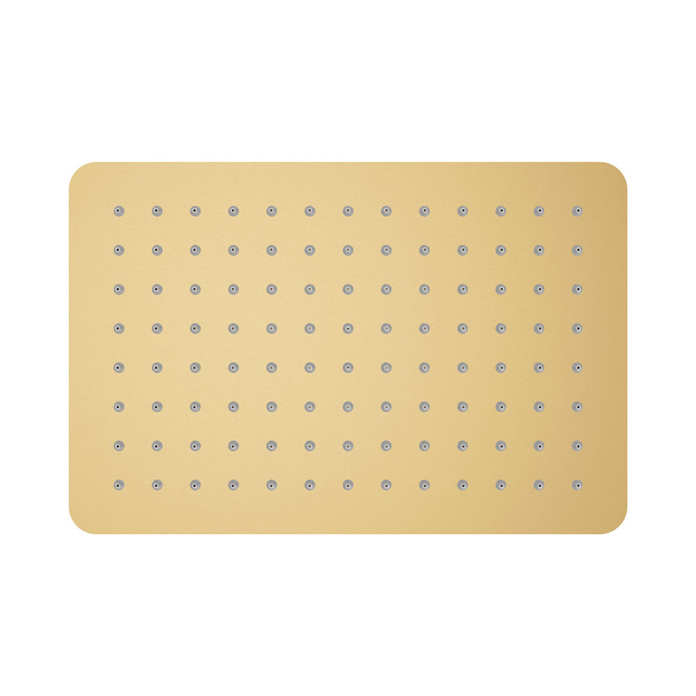 Fienza Koko Shower Head 200X300X4mm, Urban Brass