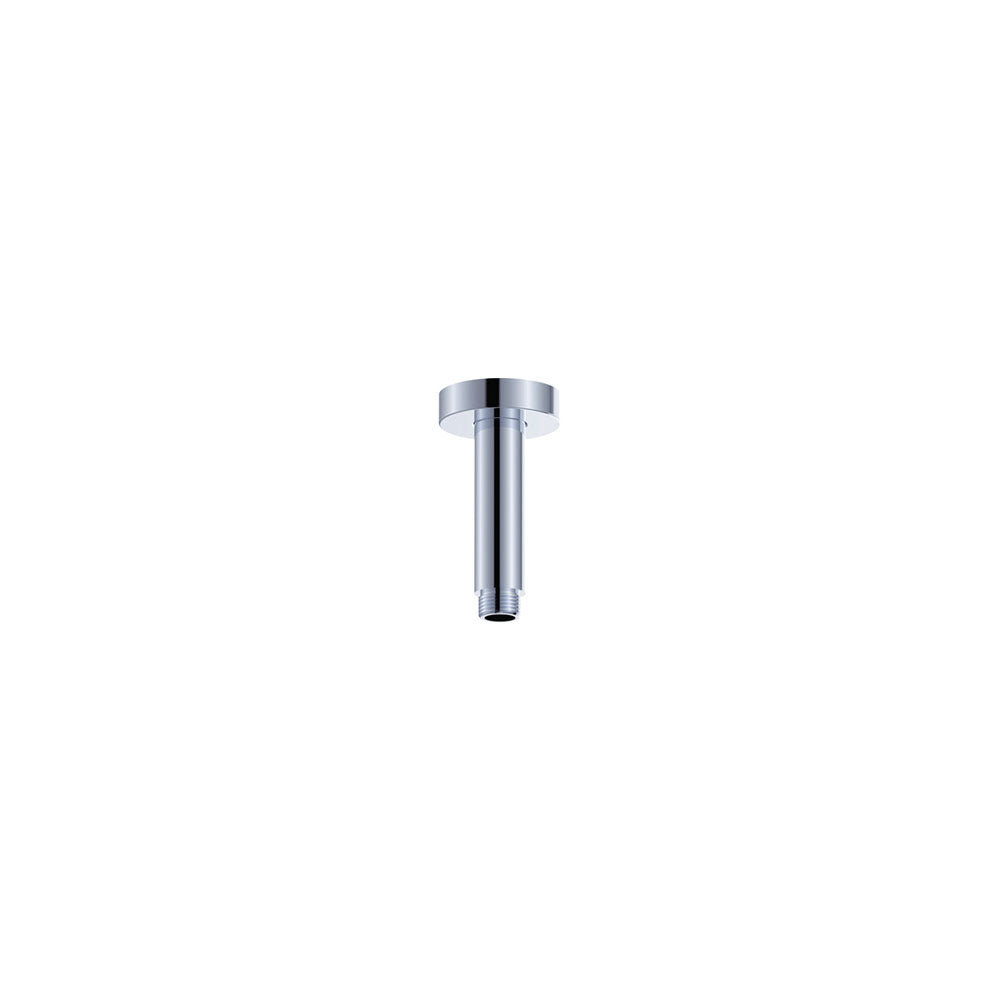 Fienza Round 100mm Shower Dropper Ss, Chrome