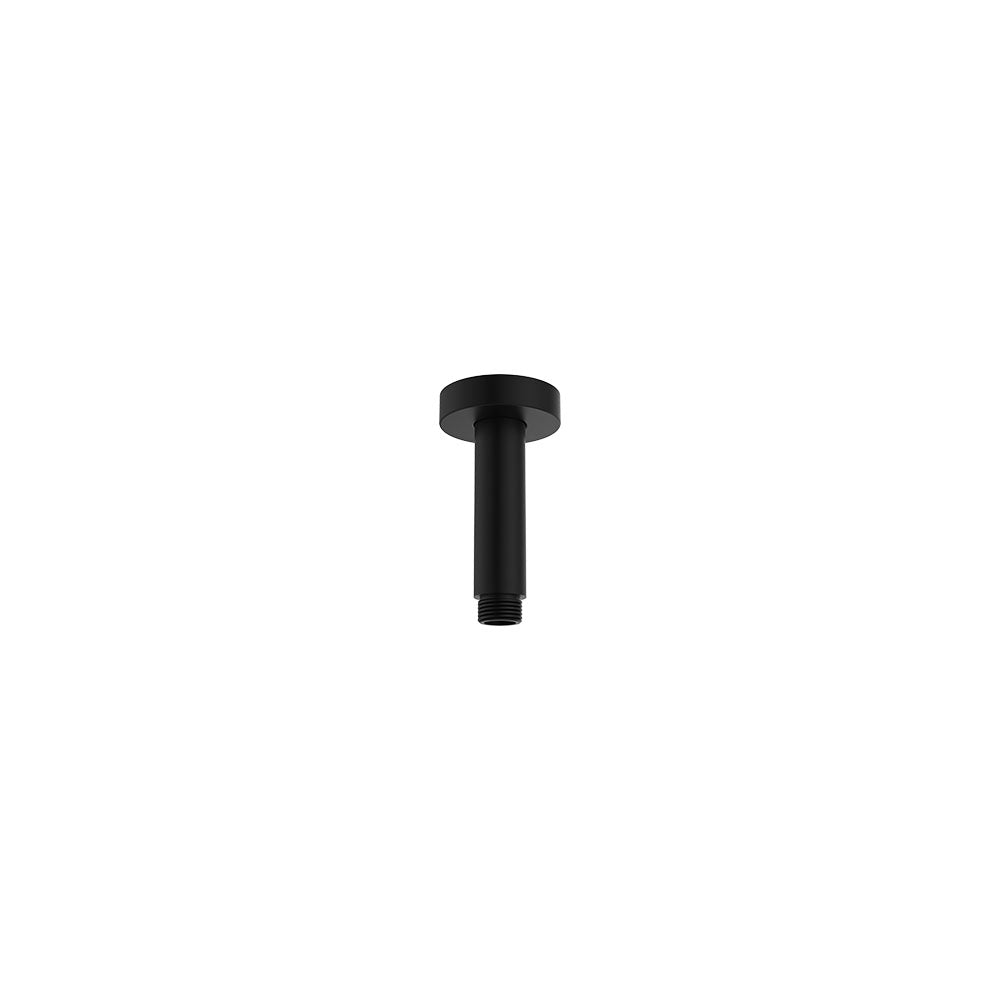 Fienza Round 100mm Shower Dropper Ss, Matte Black