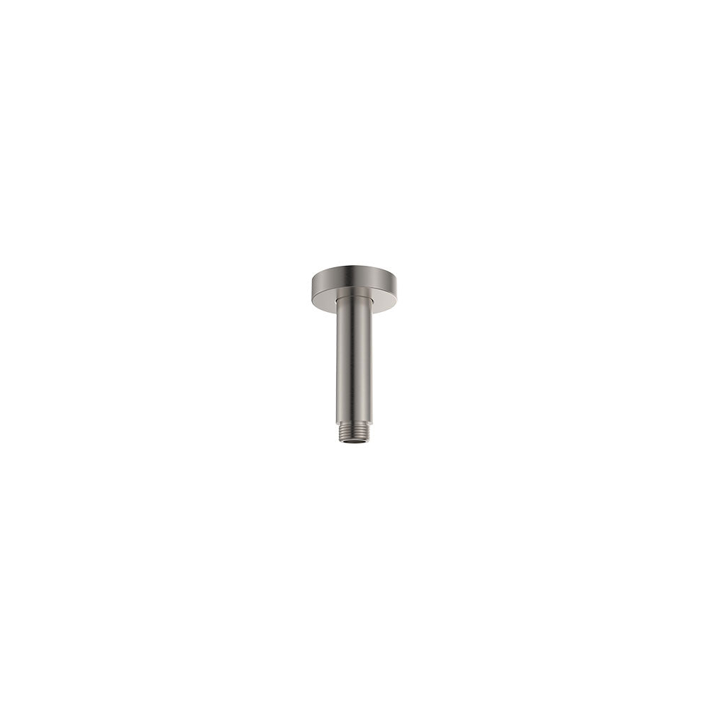 Fienza Round 100mm Shower Dropper Ss, Brushed Nickel