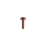 Fienza Round 100mm Shower Dropper Ss, Brushed Copper