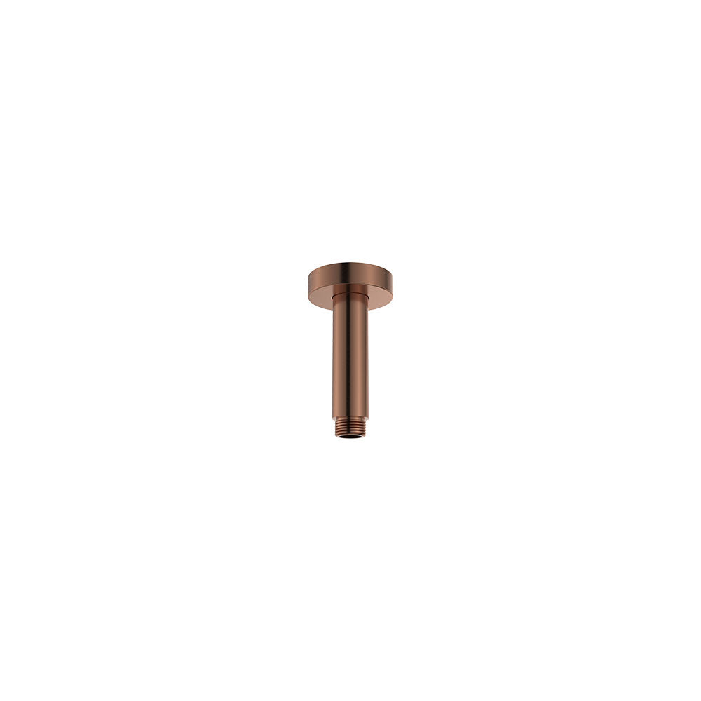 Fienza Round 100mm Shower Dropper Ss, Brushed Copper