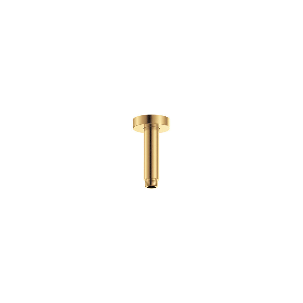 Fienza Round 100mm Shower Dropper Ss, Urban Brass