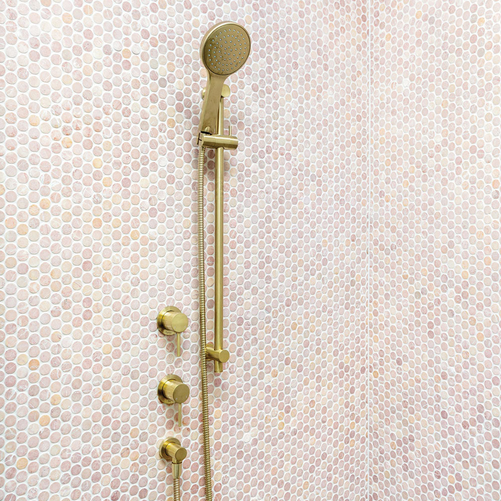 Fienza Kaya/Hustle Rail Shower, Urban Brass