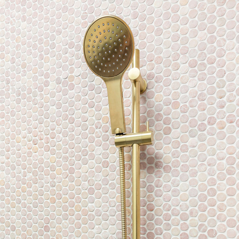 Fienza Kaya/Hustle Rail Shower, Urban Brass