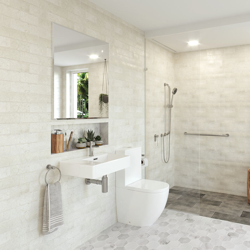Fienza Stella Care Rail Shower, Chrome