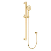 Fienza Care 900mm Rail Shower Set, Urban Brass