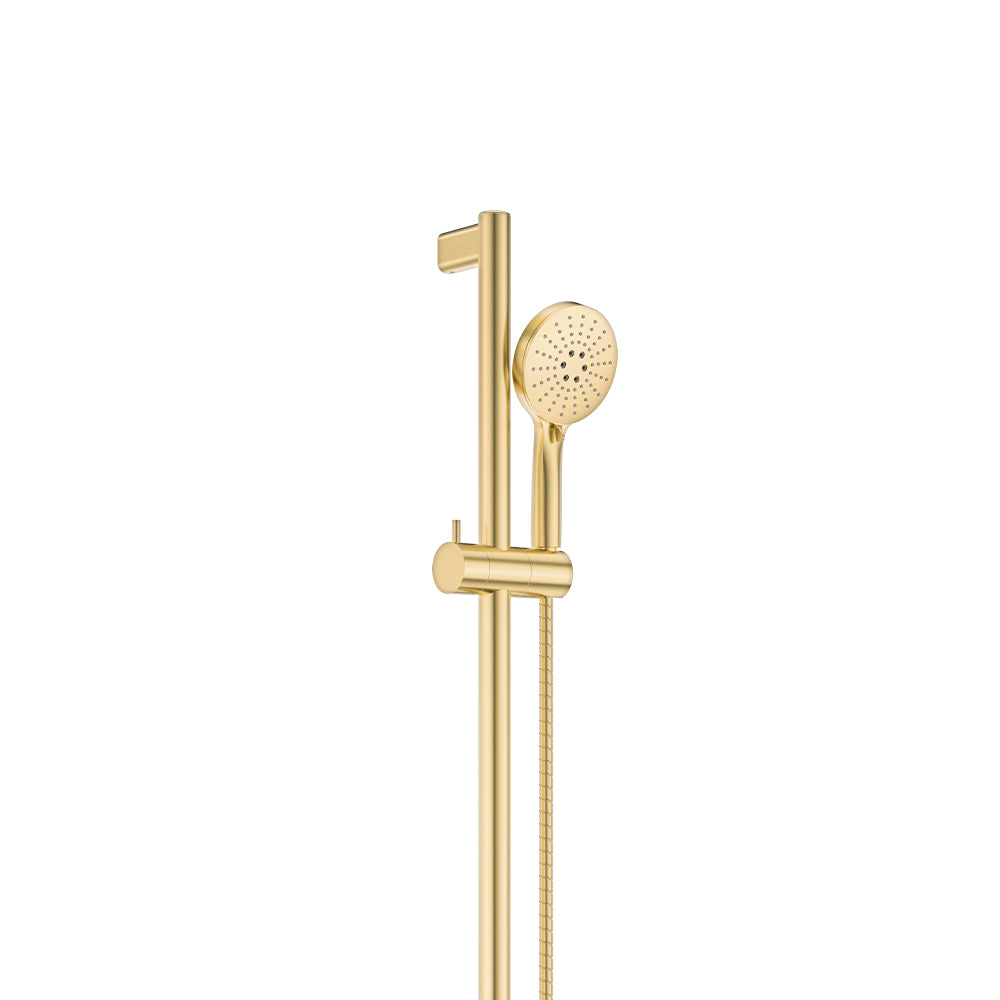 Fienza Care 900mm Rail Shower Set, Urban Brass