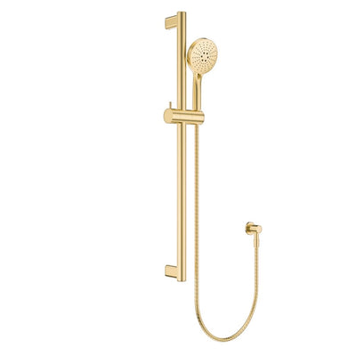 Fienza Care 900mm Rail Shower Set, Urban Brass