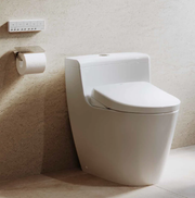 TOTO One Piece + Auto Washlet Bidet Toilet Suite (C636CDREA/TCF47360GAU)