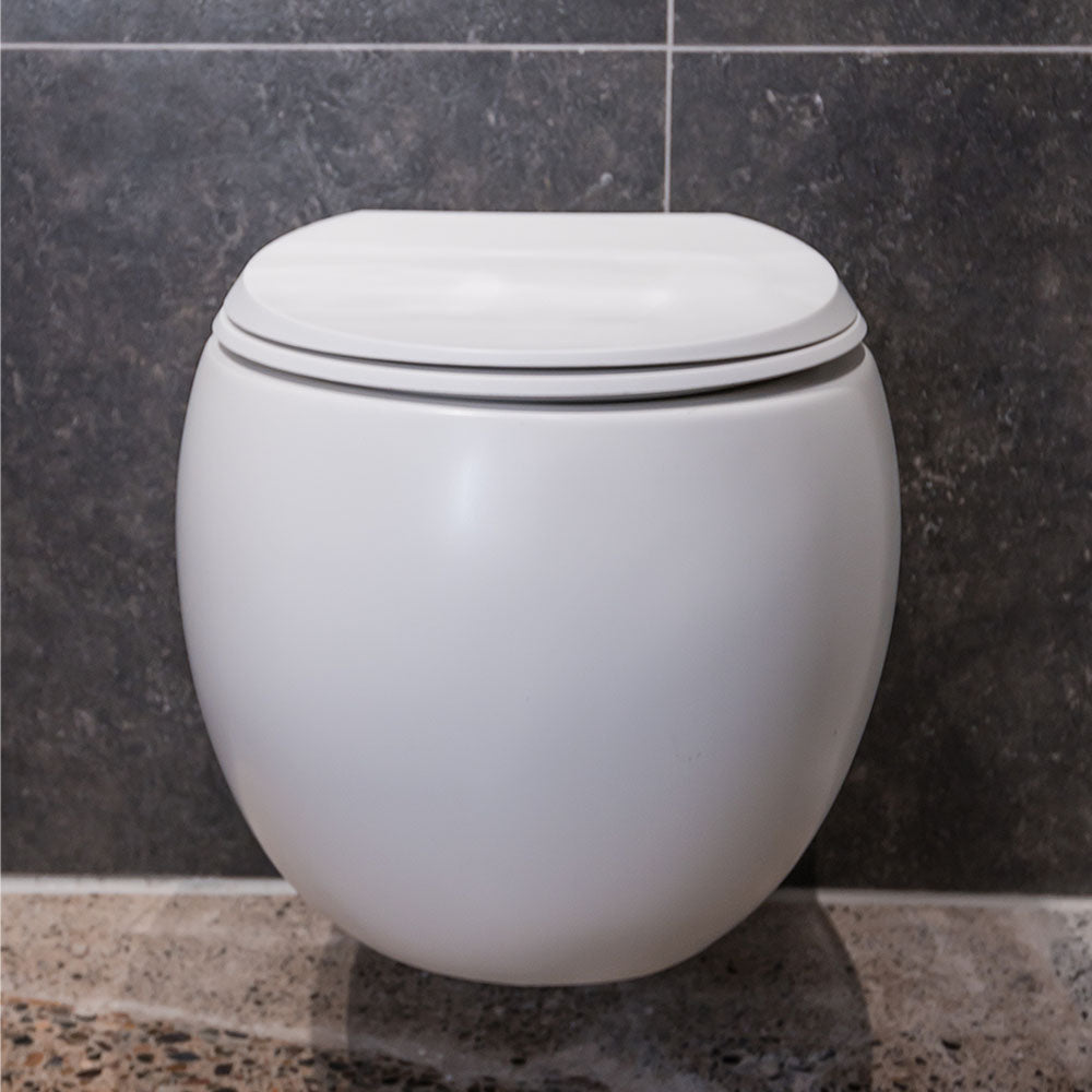 Fienza RAK Cloud Wall-Hung Toilet Pan and Seat Matte P-Trap, Gloss White
