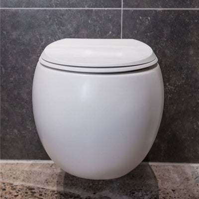 Fienza RAK Cloud Wall-Hung Toilet Pan and Seat Matte P-Trap, Gloss White