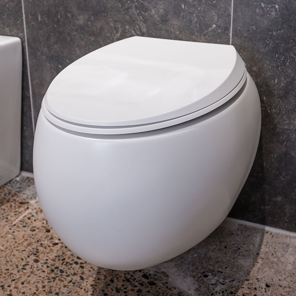Fienza RAK Cloud Wall-Hung Toilet Pan and Seat Matte P-Trap, Gloss White