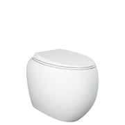Fienza RAK Cloud Wall-Faced Toilet Pan and Seat Matte S-Trap, Gloss White