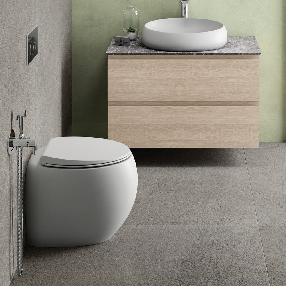 Fienza RAK Cloud Wall-Faced Toilet Pan and Seat Matte S-Trap, Gloss White