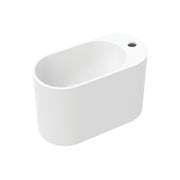 Fienza Ari Wall Hung Solid Surface Basin 1TH 450 x 220 x 280mm, Matte White