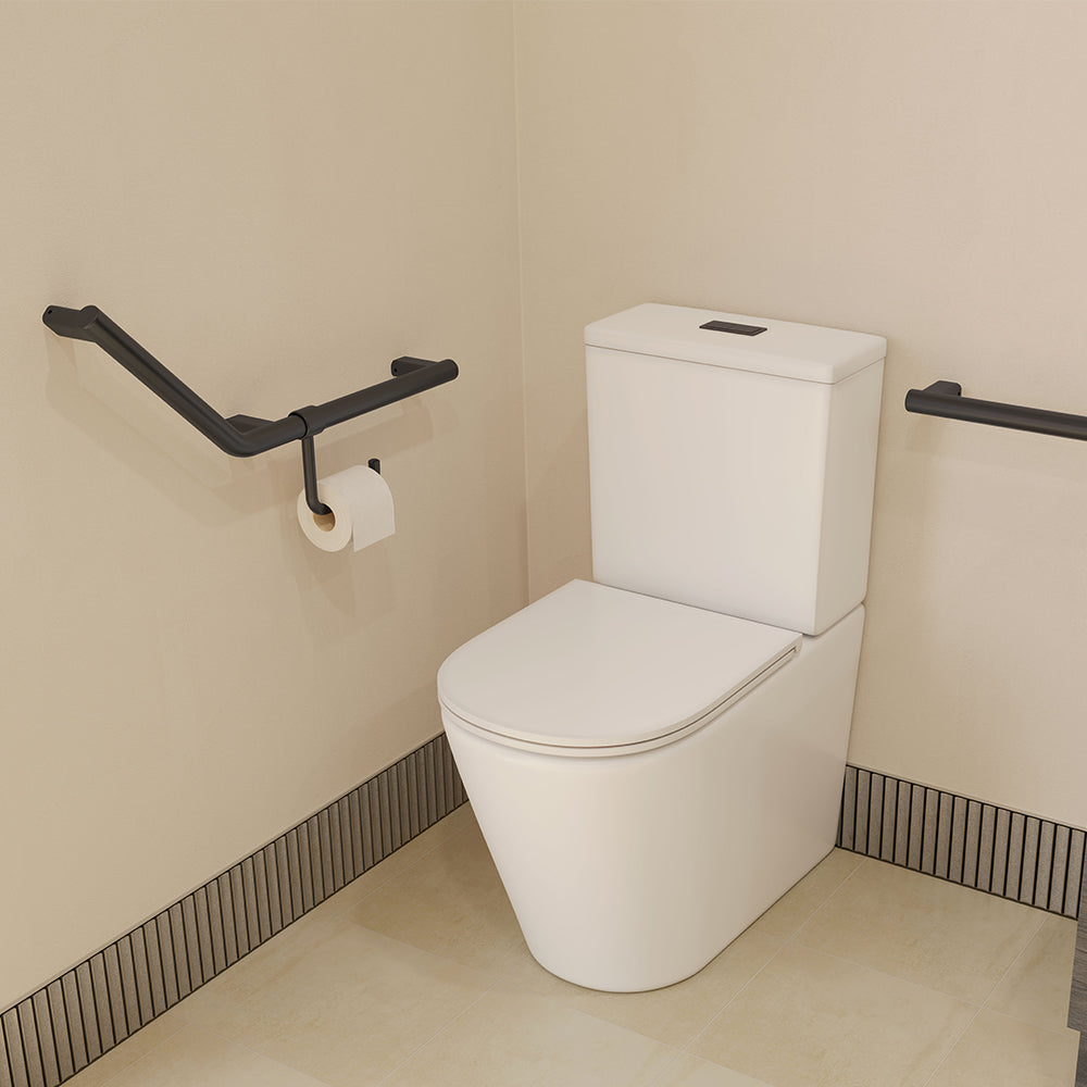 Fienza Care Slimline Roll Holder for Care Rail, Matte Black