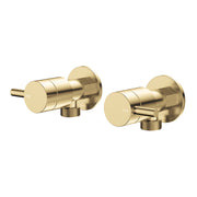 Fienza Kaya Washing Machine Set, Urban Brass