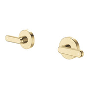 Fienza Kaya Lever Wall Taps Dress Kit, Urban Brass