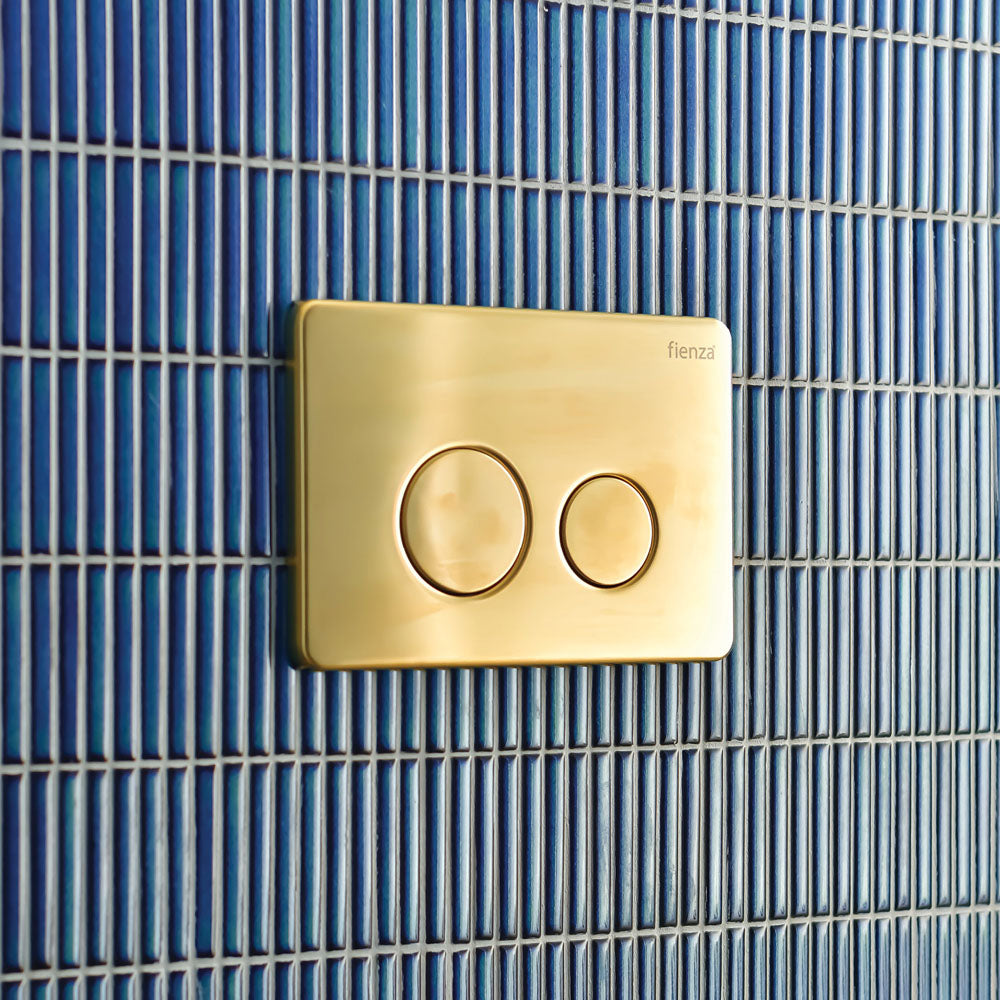 Fienza RT Stainless Steel Round Button Flush Plate PVD Finish, Urban Brass