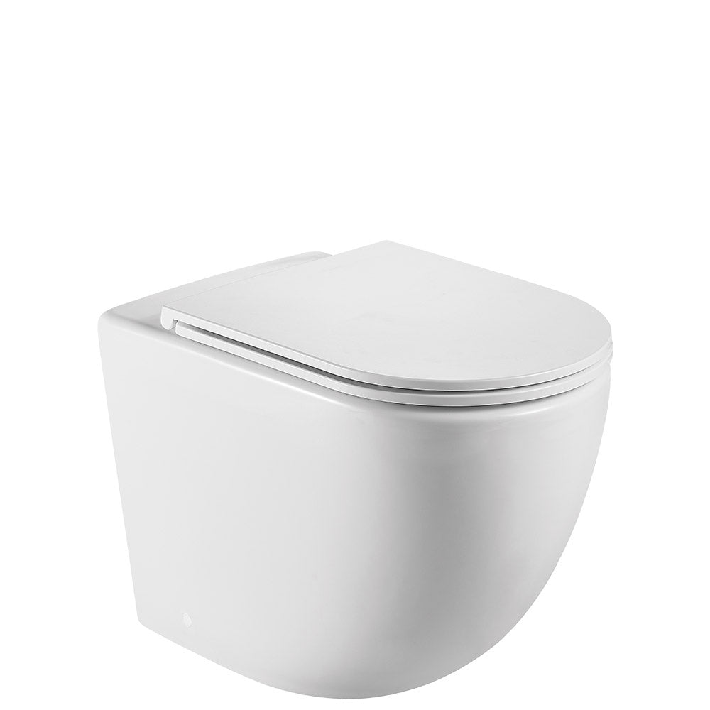 Fienza Koko Wall-Faced VIEGA V-01 Cistern Matte S-Trap No Button, Gloss White