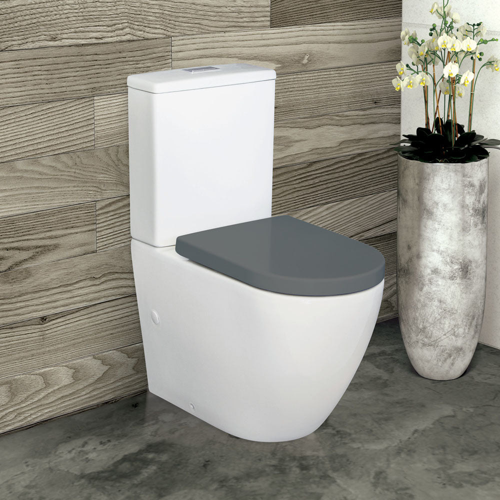 Fienza Alix Back-to-Wall Toilet Suite, Gloss White with Grey Seat