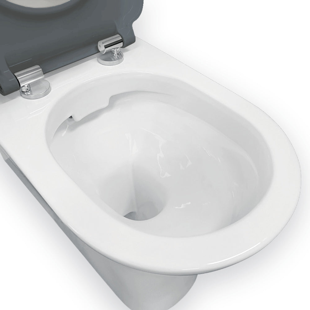 Fienza Delta Care Back-to-Wall Toilet Suite, Gloss White with Grey Seat