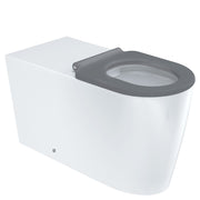 Fienza Isabella Care Wall-Faced Toilet Suite, Gloss White with Grey Seat