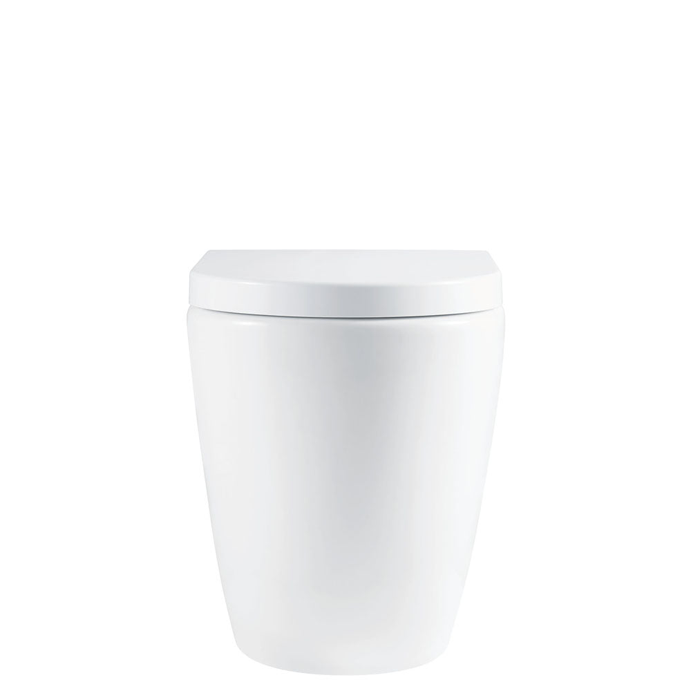 Fienza Alix Wall-Faced S-Trap RT In-Wall Cistern No Button (ambulant), Gloss White