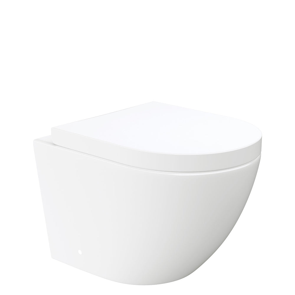 Fienza Koko Tornado Wall-Hung VIEGA V-04 Under Counter Cistern No Button, Gloss White