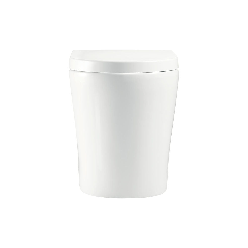 Fienza Aluca Tornado Wall-Faced P-Trap R&T In-Wall Cistern No Button Slim Seat, Gloss White
